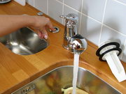 Presentation of kitchen waste disposer use Nr.2
